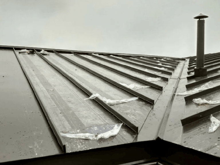 Фальцевая кровля Rúbin-Roof в покрытии Полиэстер